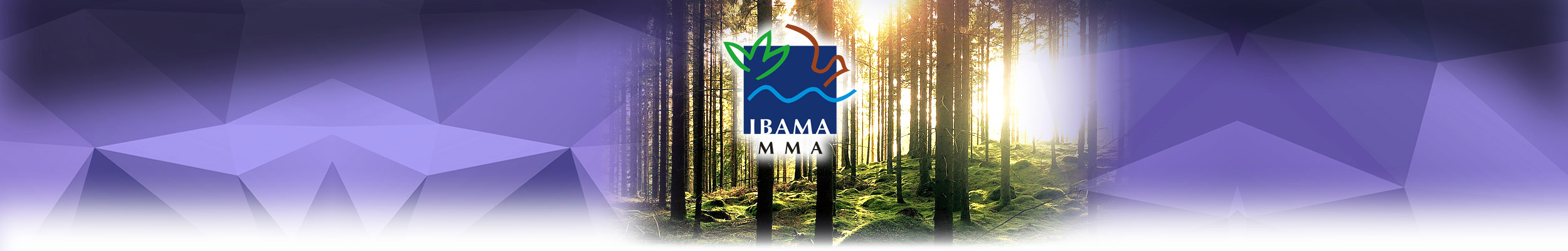 Madeireira certificada pelo Ibama
